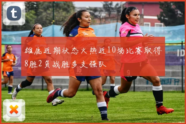 雄鹿近期状态火热近10场比赛取得8胜2负战胜多支强队