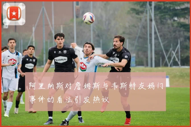 阿里纳斯对詹姆斯与韦斯特友妈门事件的看法引发热议