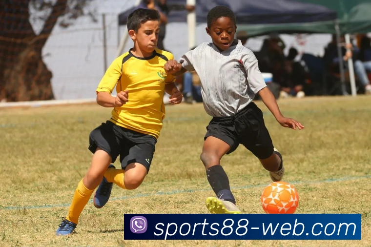 88体育APP 封面图